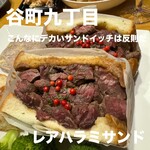 こんなにデカいサンドイッチは反則だ - 