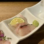 酒肴場 屯 - クエ、ヒゲダイ、シマアジ