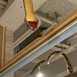 アカマタ - アカマタがいたるところに