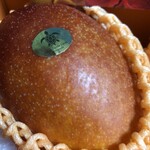 Blue Turtle Farm Mango Cafe - 真っ赤でツヤツヤです