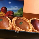 Blue Turtle Farm Mango Cafe - 