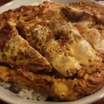 更科 - 2014年３月　カツ丼アップ