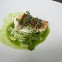 TRATTORIA CREATTA - 