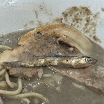 らあめん 鬼ぼし - 