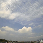 レイドバックバーガー - 