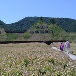 バームファクトリー - 