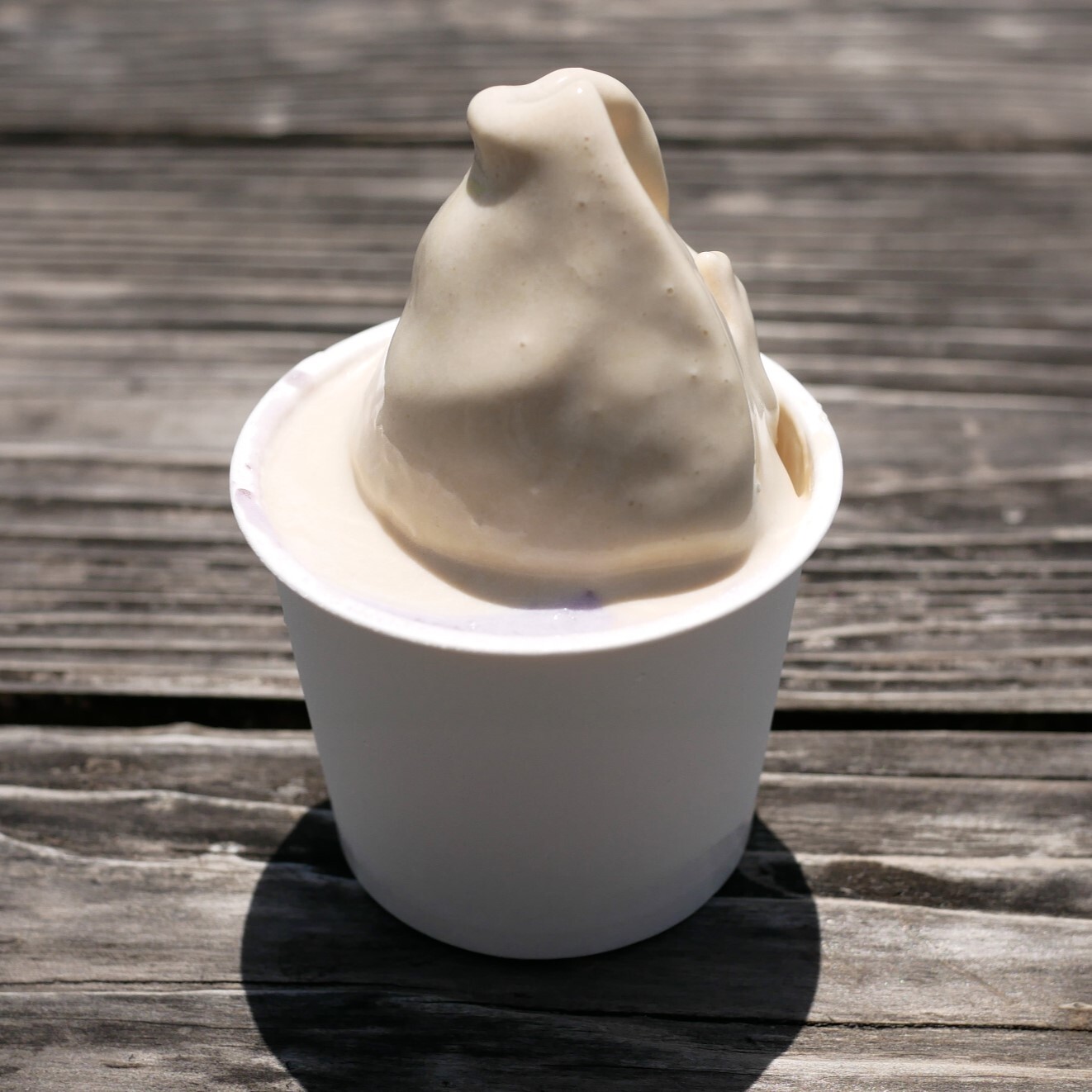 写真 : ミルミル本舗 本店 - 石垣市/ジェラート・アイスクリーム