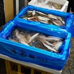 ツキジフィッシュバーガーマサ - 朝は鮮魚の販売もされています。