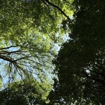 レイドバックバーガー - 