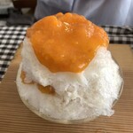 スノウドロップ - 