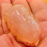 鮨 しゅん輔 阿佐ヶ谷 - 