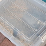 ピッザピッザピッザ - 