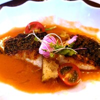 RISTORANTE REGA - ランチ MenuA：お魚料理（本日の鮮魚（すずき）のソテー ガスパッチョと共に）