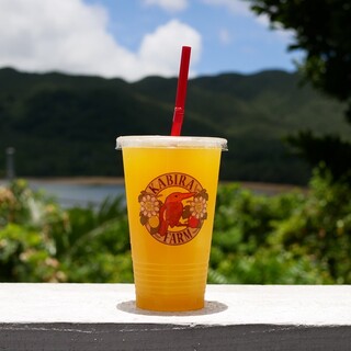 川平ファーム_0