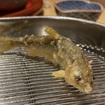 てんぷら 深町 - 