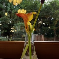 メインダイニングルーム 三笠 - 