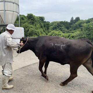 鉄板屋 いっちゃん_2