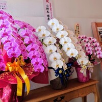 アドゥエパッシ - 