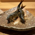 吉い - 天竜川の鮎