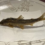 旬彩天 つちや - 