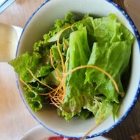 横浜焼肉kintan - 