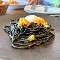 フィーコディンディア - 