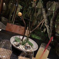 イノベーティブ フレンチ ワタハン - 