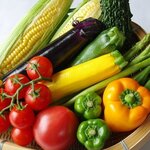 生姜料理 しょうが - 生姜＆旬の野菜で免疫力UP！