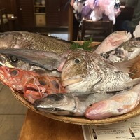 銀平 北新地店 - 