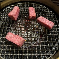 喜福世 - 
