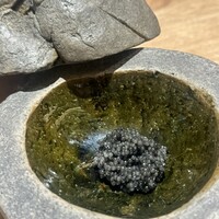 bb9 - 