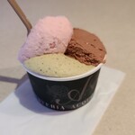 ジェラテリア アクオリーナ - 