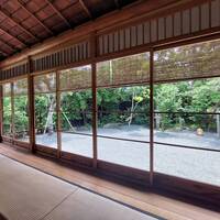 からすみ蕎麦 月と松 - 