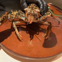 大阪鉄板焼き 神戸牛 TATARA - 