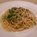 アダージオ - 蕗、菜の花、螺貝のアンチョビソースフェデリーニ