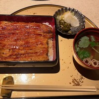 うなぎ 目白ぞろ芽 - 