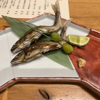 寿司 はせ川 心斎橋本店 - 