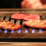 小谷流ガーデン - 