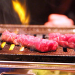 小谷流ガーデン - 