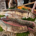 九州 熱中屋 - 活豊後サバ刺し