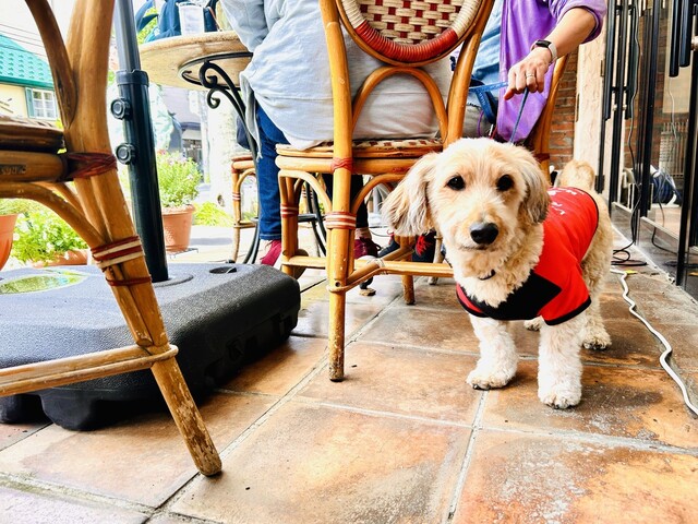 ベリーベリーストロベリー - 南小樽（イタリアン）の写真