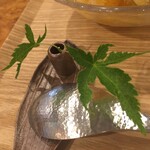 牛島製茶　和cafe Leaf Heart - 紅葉の葉っぱかと思ってたけどシダかも？