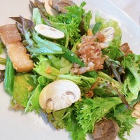 Benoit Alain Ducasse -  Benoit Alain Ducasse -