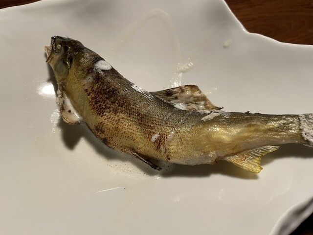 世界遺産の隠れ宿 果実の森 - 山ノ目（料理旅館）の写真