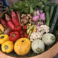 レフェルヴェソンス - 