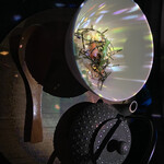 TREE by NAKED yoyogi park - 