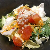 biodinamico - 