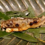 銀座 しのはら - 岐阜県郡上八幡の鮎