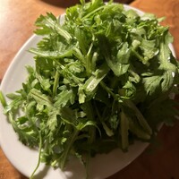 カルネジーオ イースト - 