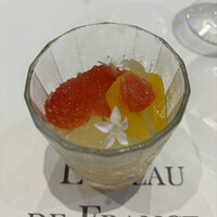 Loiseau de France - 